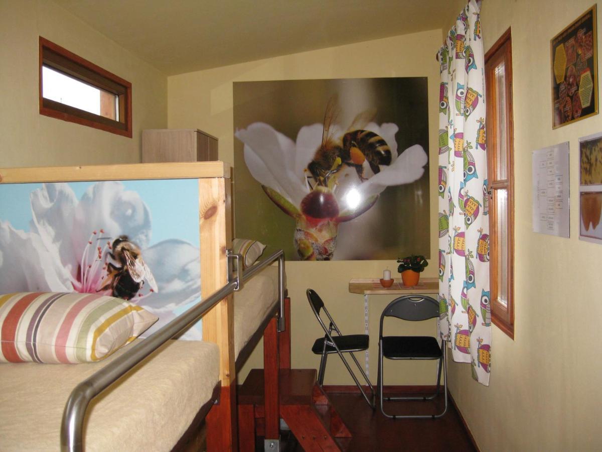 Apartmany Vcelka Hranice u Novych Hradu Dış mekan fotoğraf